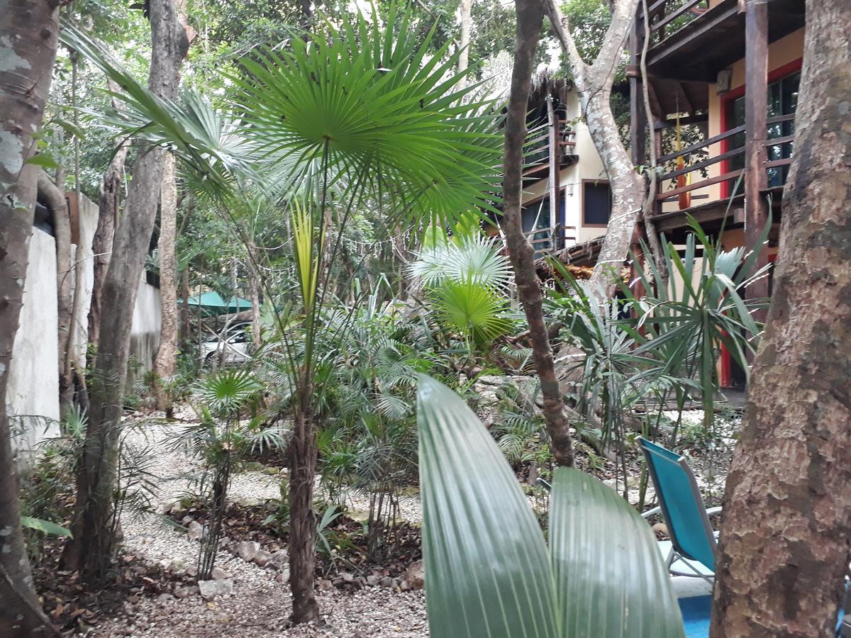 Dolce Caribe Xcaret Bed and Breakfast Playa del Carmen Eksteriør billede